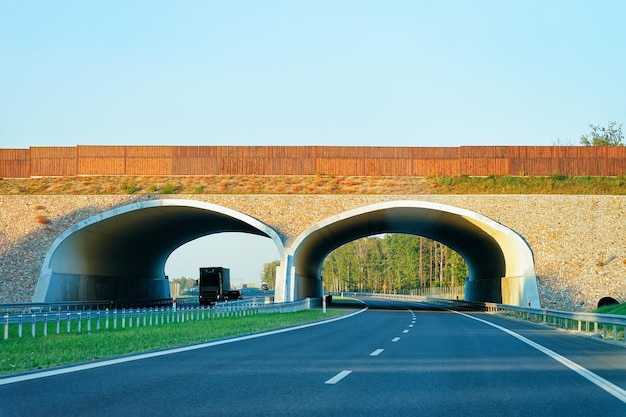 Puente de arco en la autopista Road, Maribor en Eslovenia