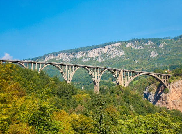 Puente de arco Durdevica Tara en las montañas de Montenegro Uno de los puentes de automóviles más altos de Europa