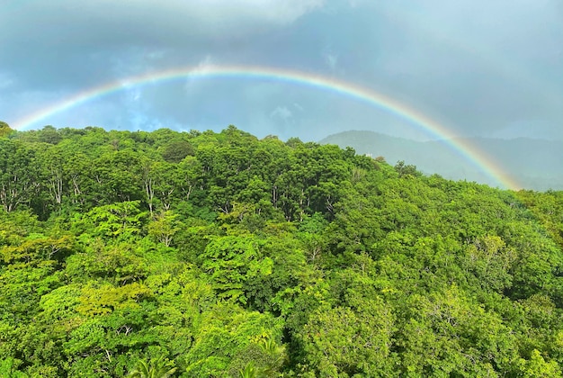 Puente arcoiris en la montaña