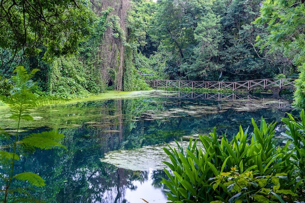 Puente arqueado sobre un lago Tanzania Africa Pasarela sobre un estanque