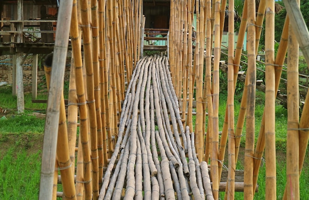 Puente de bambú en el pueblo de la región norte de Tailandia