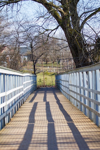 Un puente con una baranda azul y un árbol al fondo.