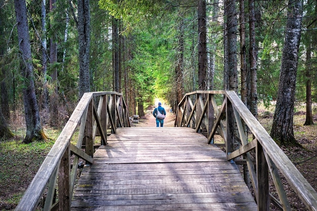 Puente en el bosque de la finca de AN Ostrovsky Shchelykovo Kineshma