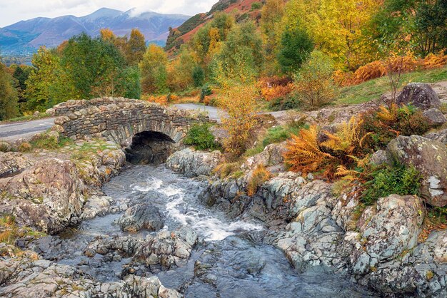 Puente de caballos de carga