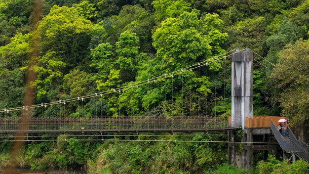 Puente colgante del bosque del parque de la cascada de Shifenliao de la ciudad de Nuevo Taipei de Taiwán