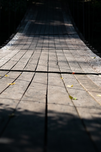 Puente colgante en el bosque