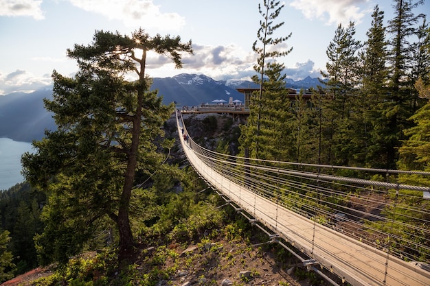 Puente colgante en la cima de una montaña en Squamish