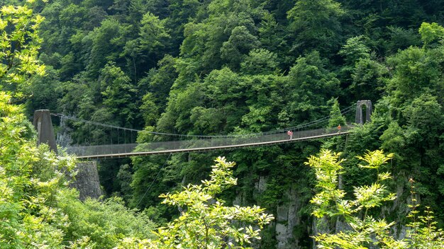 Puente colgante de Holtzarte, Aquitania, Francia