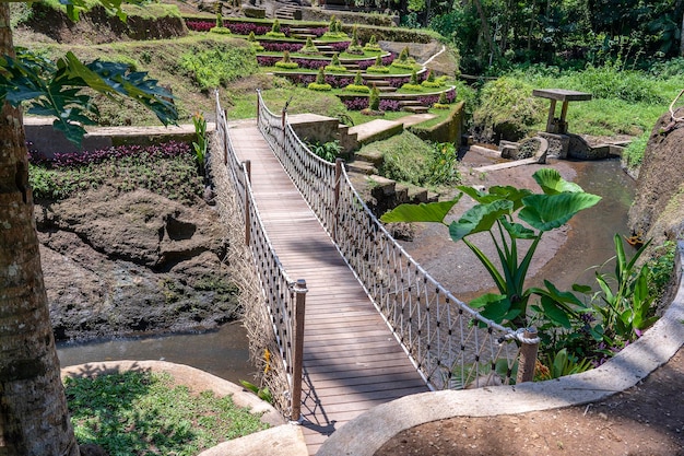 Puente colgante en la jungla cerca de las terrazas de arroz en la isla Bali Indonesia Naturaleza y concepto de viaje