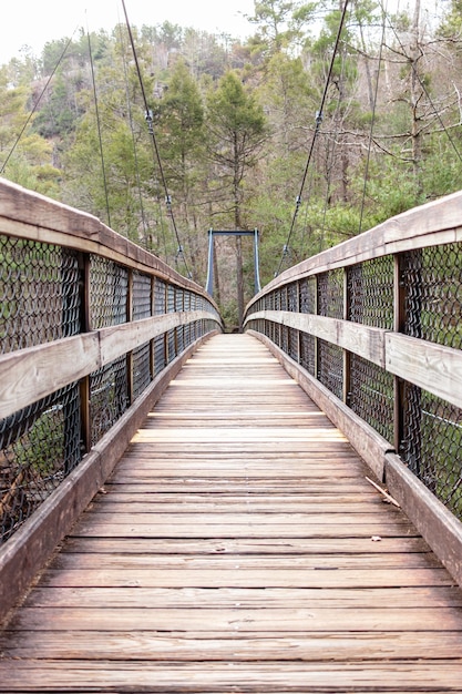 Foto puente colgante de madera en el bosque verde