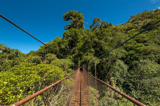 Puente colgante en el nuboso Parque Nacional Volcán Barú Chiriquí Panamá Centroamérica