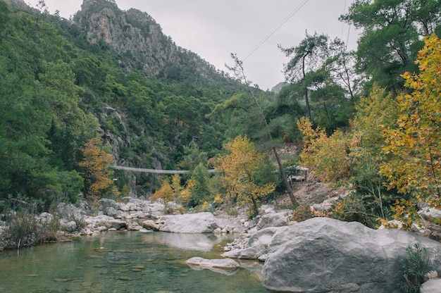 Puente colgante entre Rock