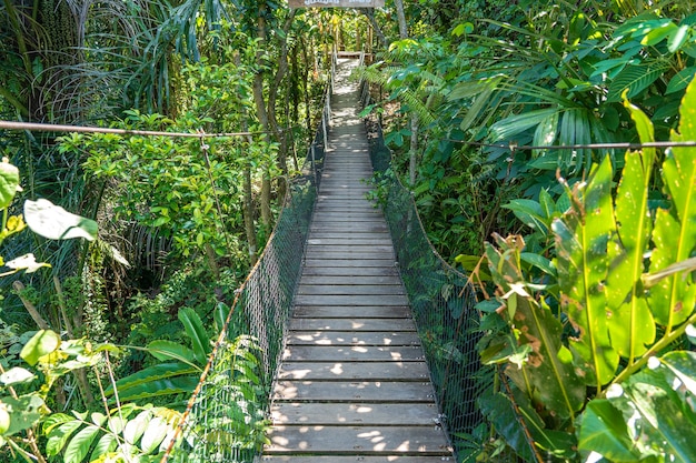 Puente colgante en la selva cerca de las terrazas de arroz en la isla de Bali, Indonesia