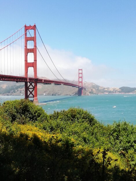 Foto puente colgante sobre el mar