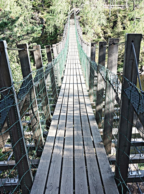 Puente colgante sobre el río, Finlandia. Parque Nacional Oulanka