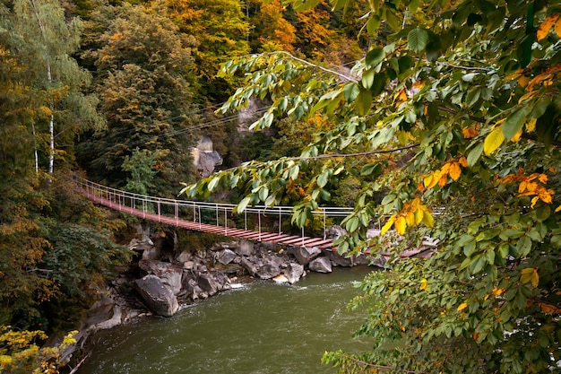 Puente colgante sobre el río Prut en la ciudad de Yaremche Cascada Probiy Paisaje otoñal Cárpatos Ucrania Centrarse en las hojas