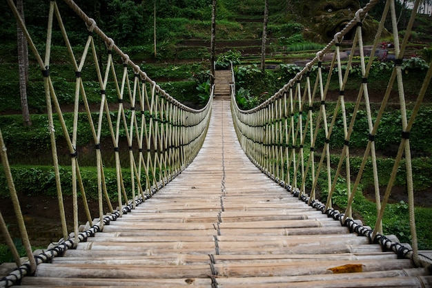 Puente colgante, vista interior central.