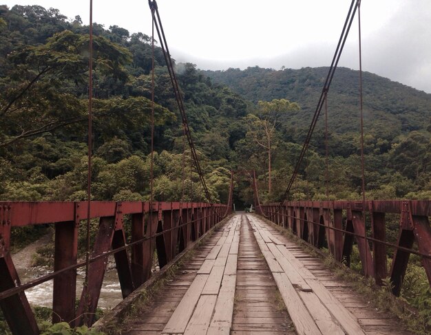 Puente contra la montaña