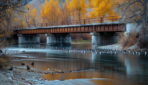 Foto un puente de cruce de vida silvestre