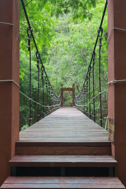 Puente de cuerda de alambre