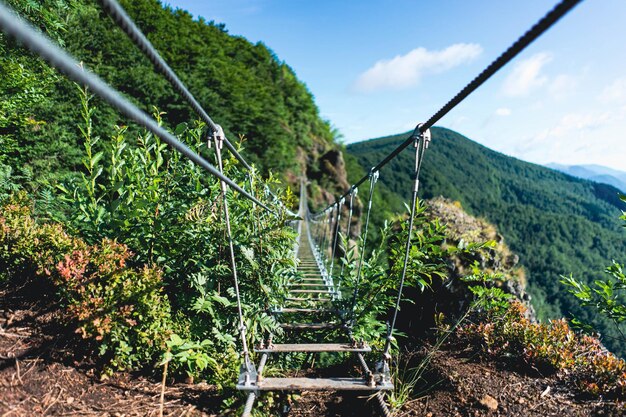 Puente de cuerdas