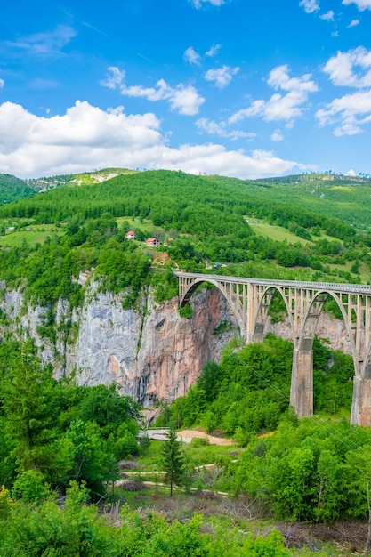 El puente Djurdjevic cruza el cañón del río Tara en el norte de Montenegro