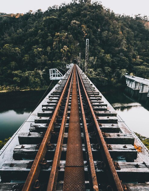 Foto puente ferroviario por árboles contra el cielo