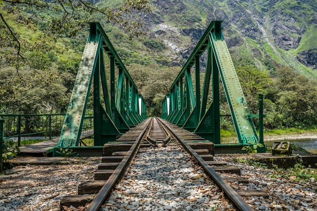 puente ferroviario de metal en medio de árboles y arbustos distantes