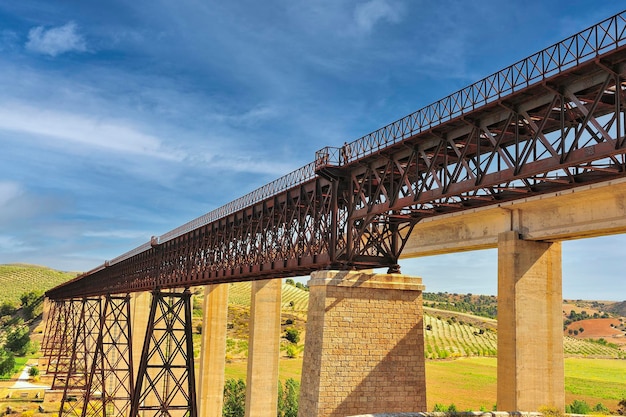 El puente hacho de gustave eiffel en la vía férrea del municipio de guadahortuna