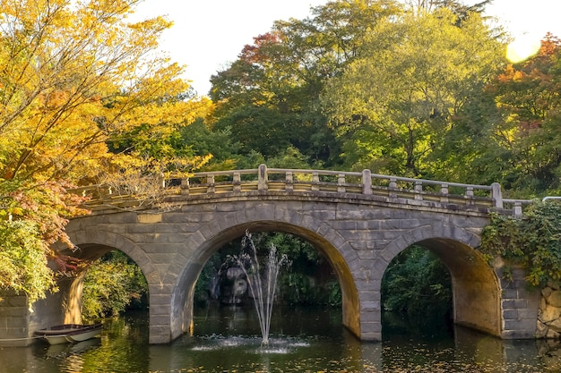 Puente de Haegyo