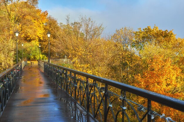 Puente con hermosa forja de metal en el parque cálido otoño por la tarde