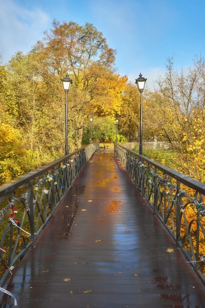 Puente con hermosa forja de metal en el parque cálido otoño por la tarde