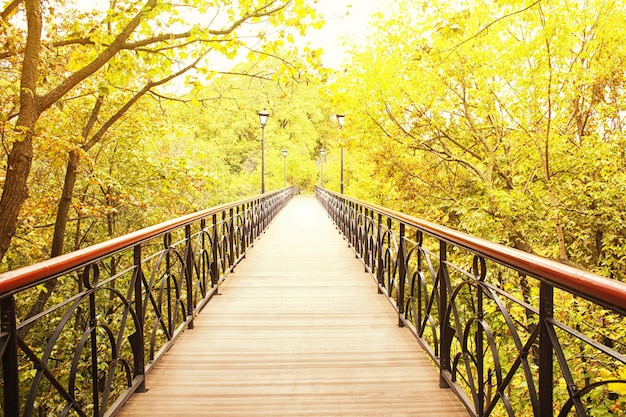 Puente en el hermoso parque de otoño