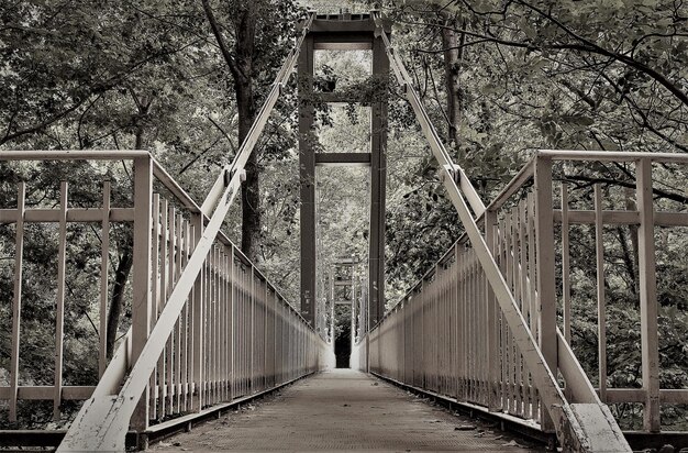 Puente de hierro largo monocromático sobre el río entre los árboles