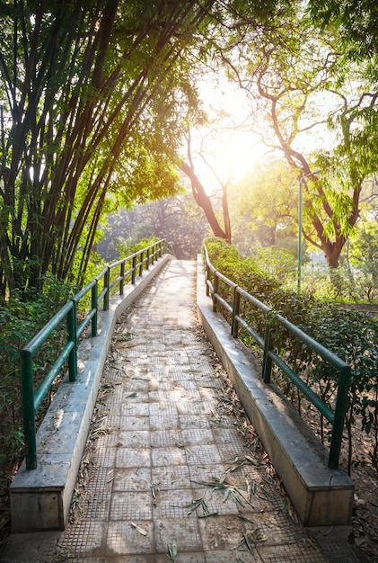 puente en el jardin