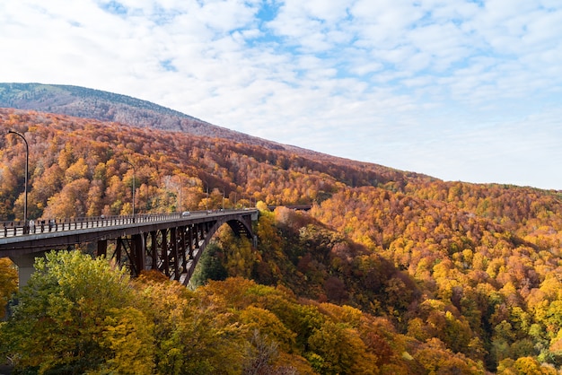 Puente Jogakura Ohashi Otoño Japón