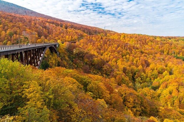 Puente Jogakura Ohashi Otoño Japón