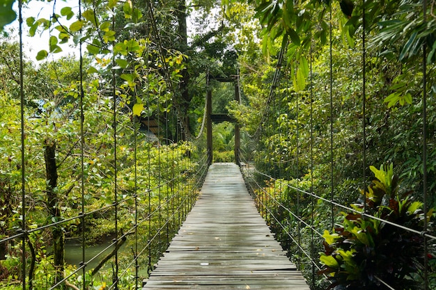 Puente a la jungla, KhaoLak - parque nacional Lumru