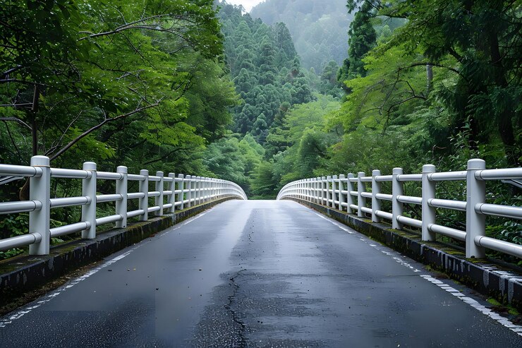 Puente largo sobre carretera forestal