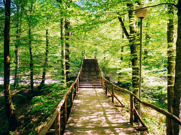 Puente de madera en el bosque cerca de los lagos de plitvice