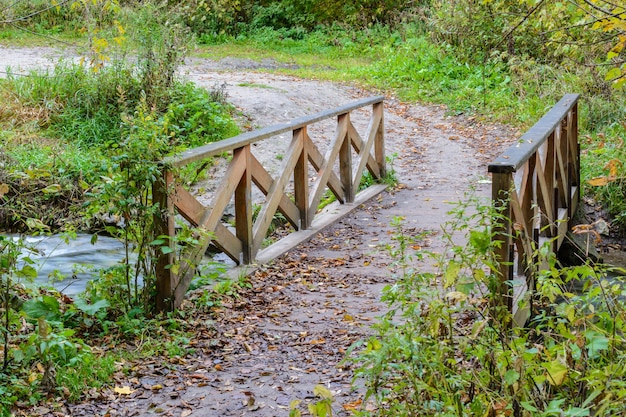 Puente de madera en el bosque cubierto de follaje otoñal. Paisaje de otoño cerca del lago azul. Kazán, Rusia.