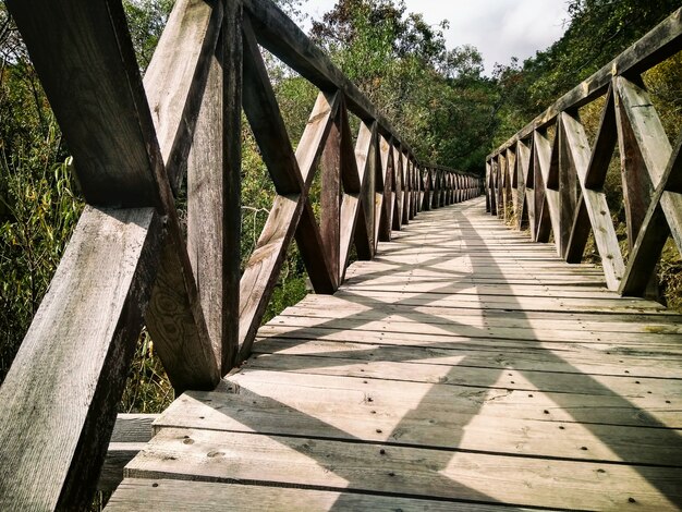 Puente de madera en el bosque. Paisaje rural escénico