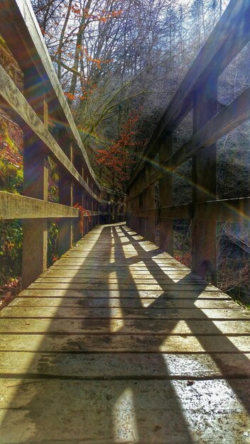 Puente de madera en el bosque