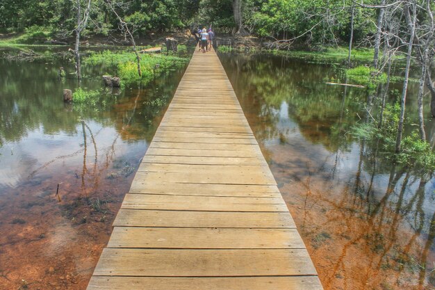 Foto puente de madera en el bosque