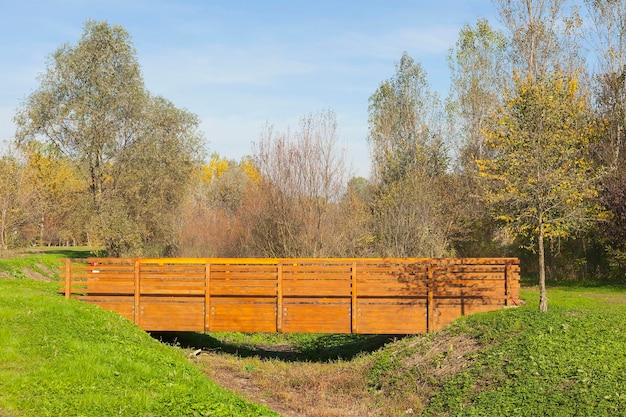 Puente de madera en el bosque