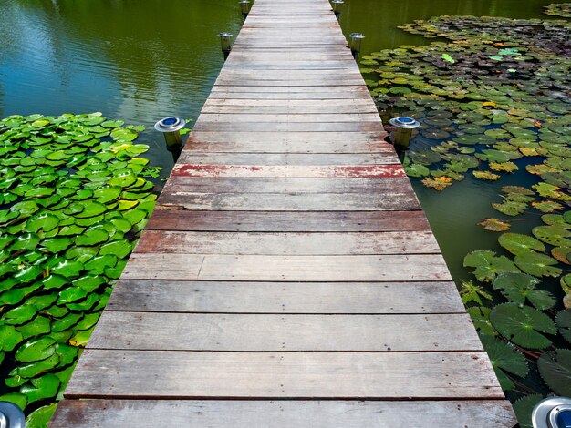 Puente de madera en estanque de lotos