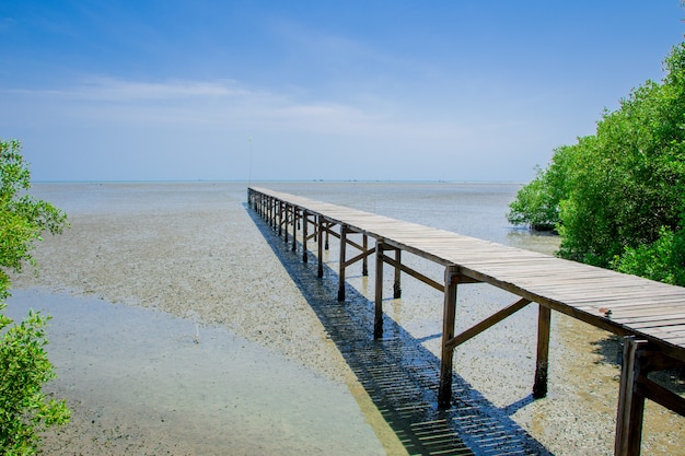 Puente de madera junto al mar