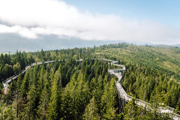 Puente de madera en medio del bosque con vista a las montañas Tátras concepto de arquitectura senderismo