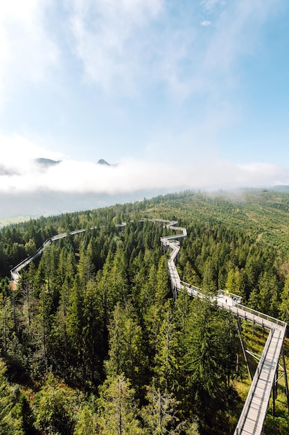 Puente de madera en medio del bosque con vista a las montañas Tátras concepto de arquitectura senderismo