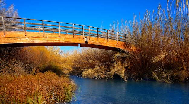 Puente de madera de otoño del parque turia de valencia.